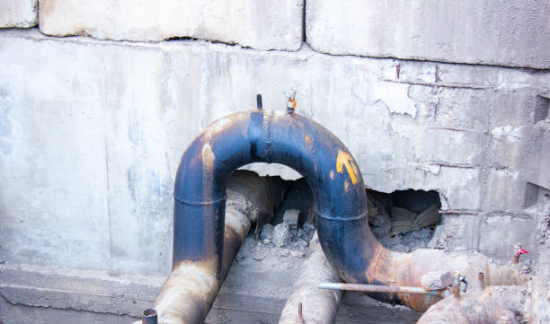 Best Water damage mitigation services  in Maryville, TN